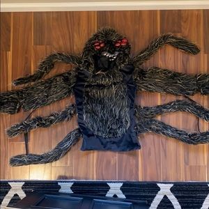 Spider Costume